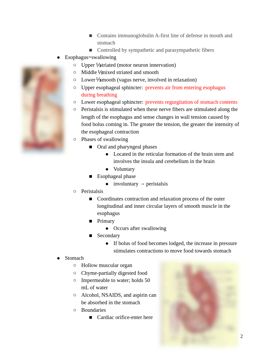 Digestive System Learning Objectives.pdf_dyb6nqnhac8_page2