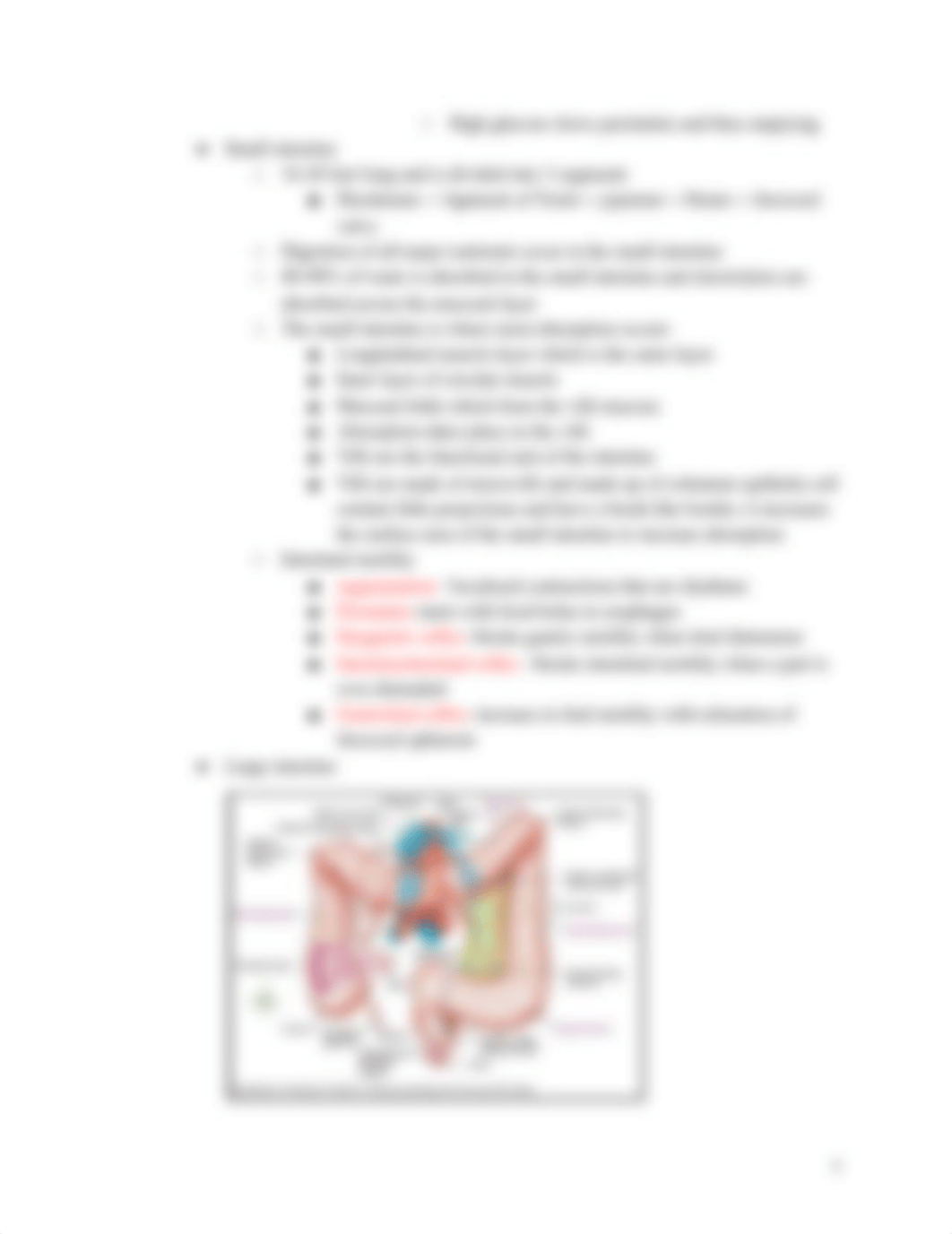 Digestive System Learning Objectives.pdf_dyb6nqnhac8_page4