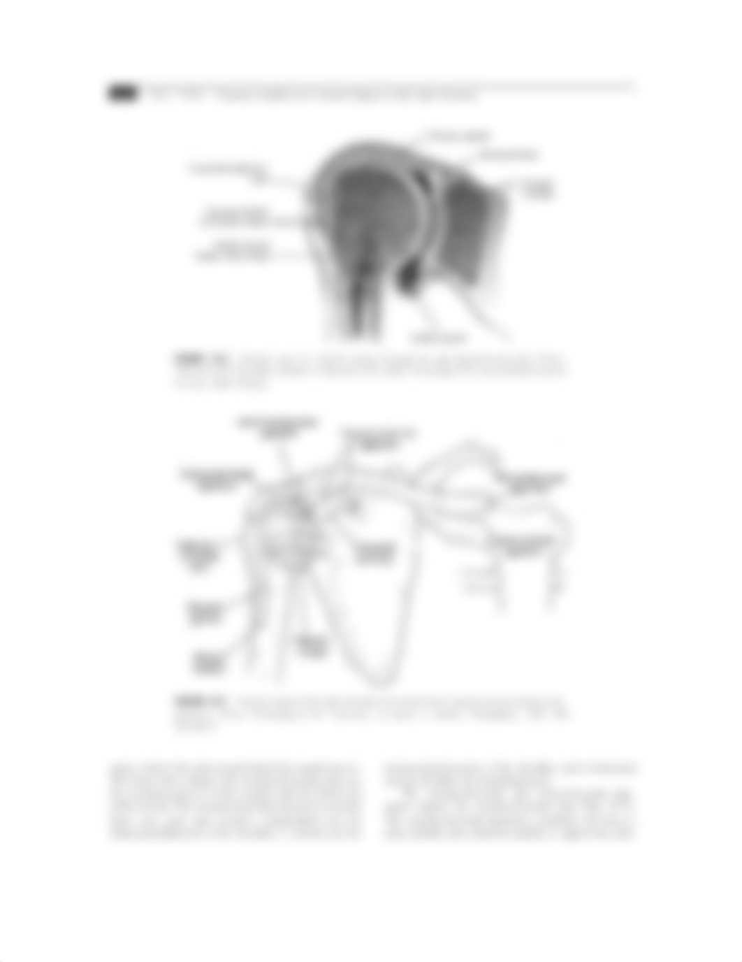 Common Shoulder Diagnoses.pdf_dyb9jhey243_page3