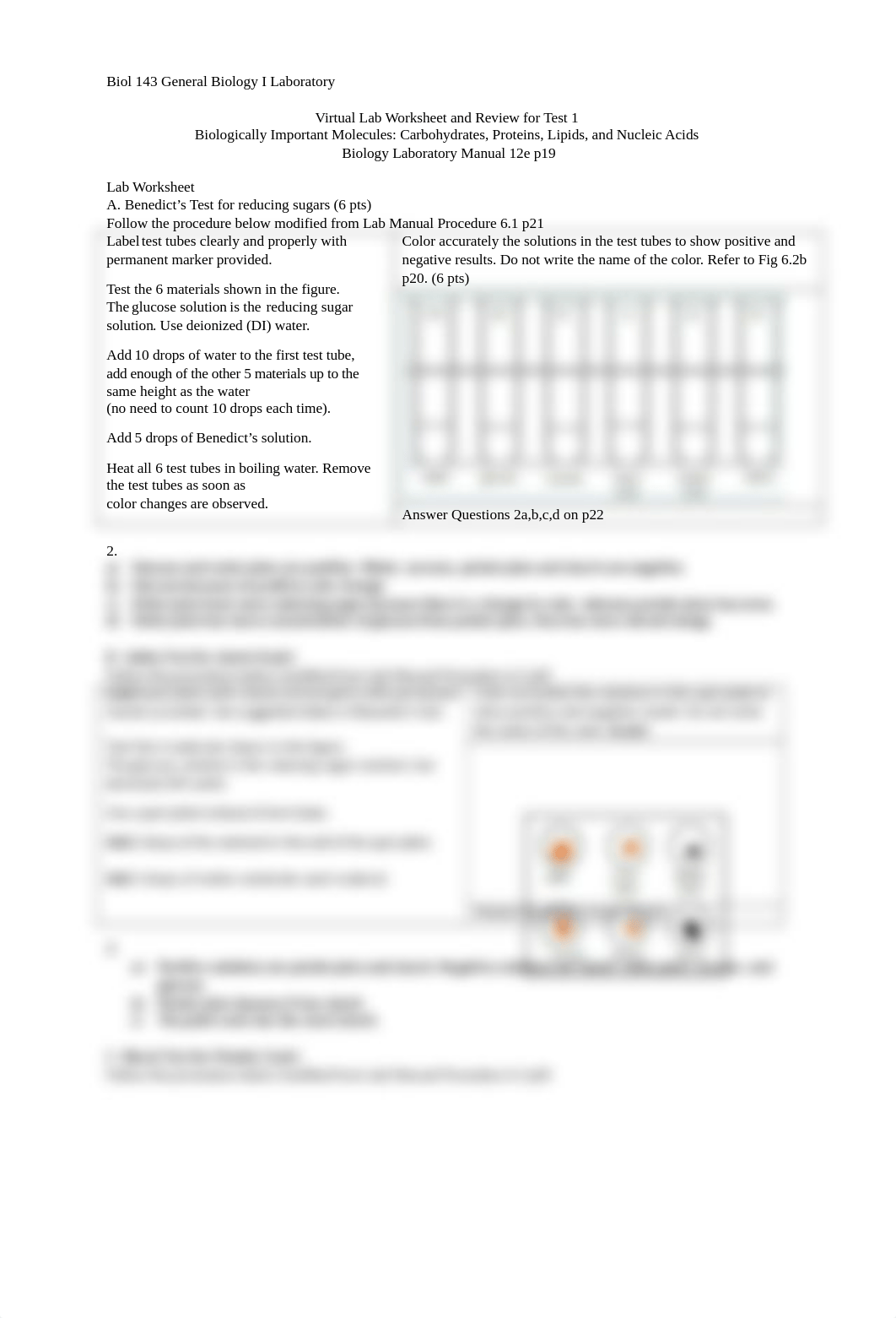 Small, Jasmine Biomolecules Virtual Lab Worksheet.docx_dybb04c35rv_page1