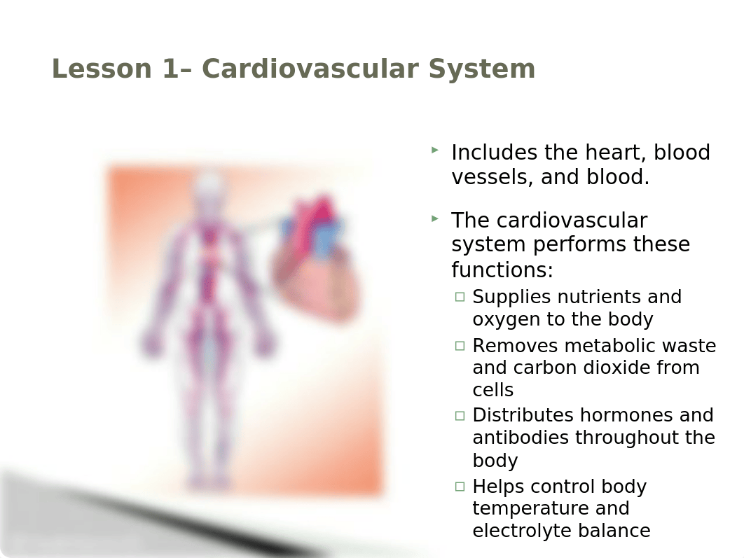 hsantmyco07 lesson 1 - powerpoint (1).pptx_dybeeyosnse_page2