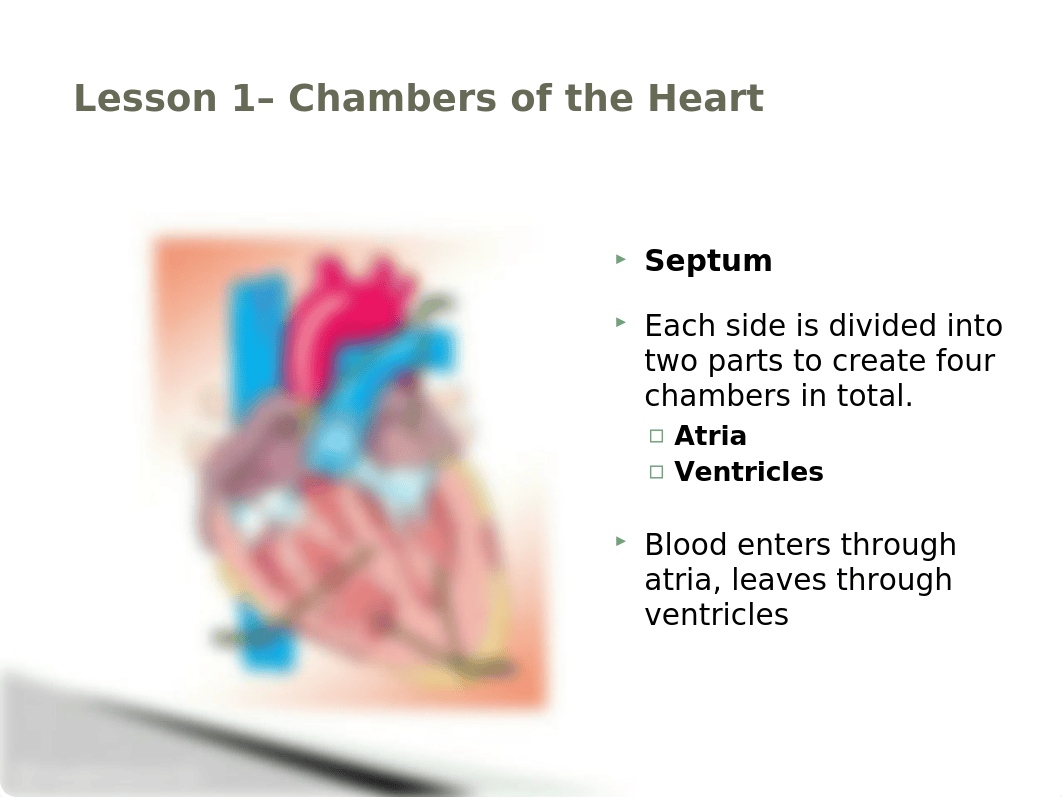 hsantmyco07 lesson 1 - powerpoint (1).pptx_dybeeyosnse_page4