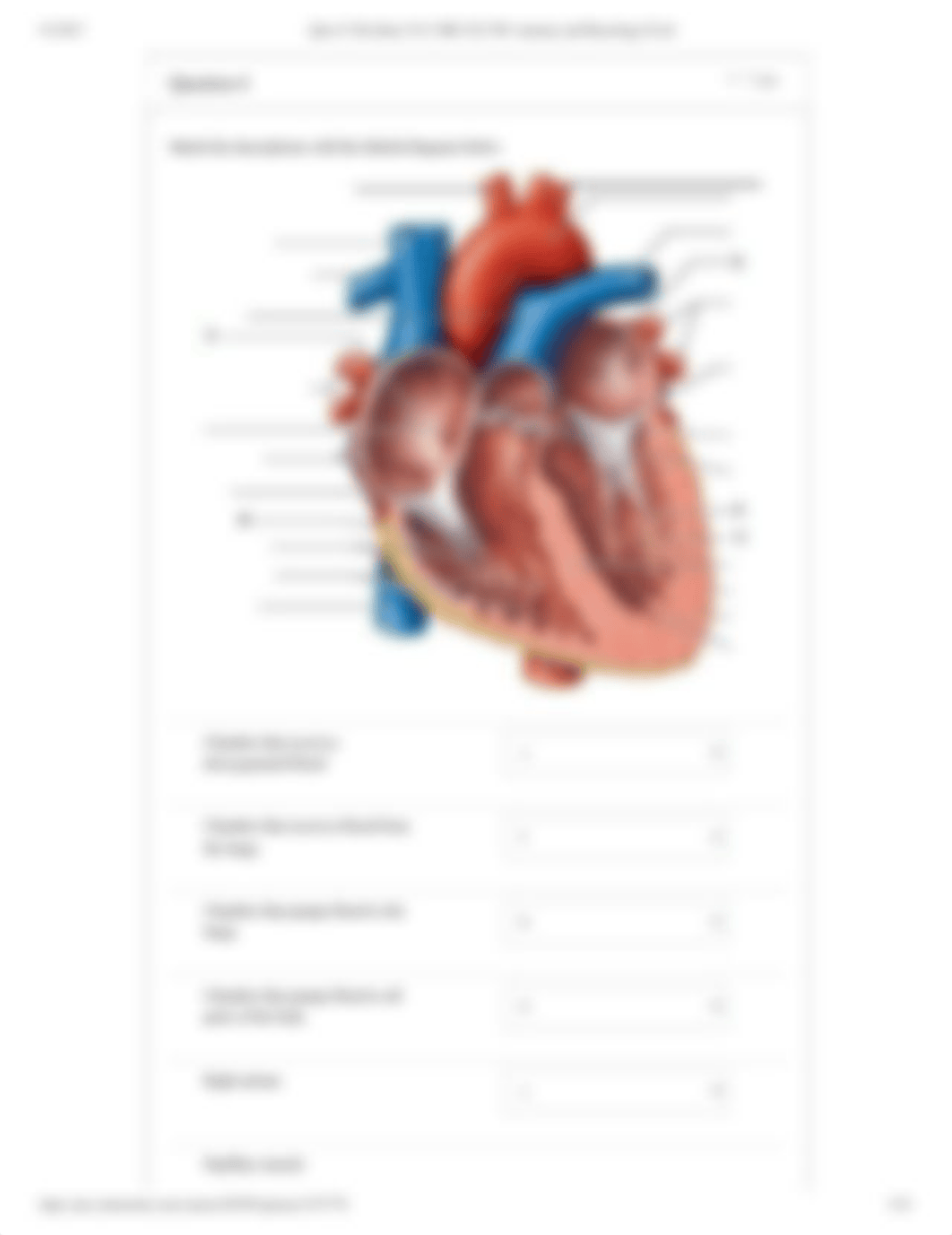 Quiz #3 The Heart A&P2.pdf_dybmx4kj8b4_page5