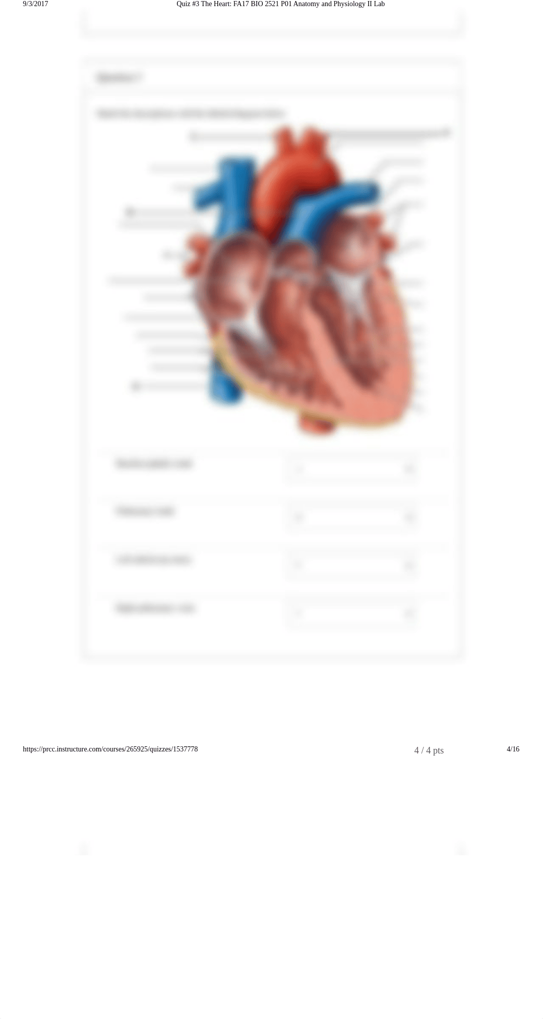 Quiz #3 The Heart A&P2.pdf_dybmx4kj8b4_page4