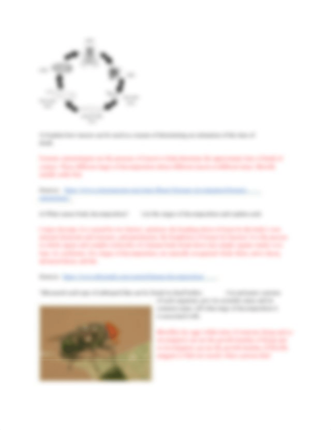 Insect_Scavenger_Hunt_dybna0d3orm_page2