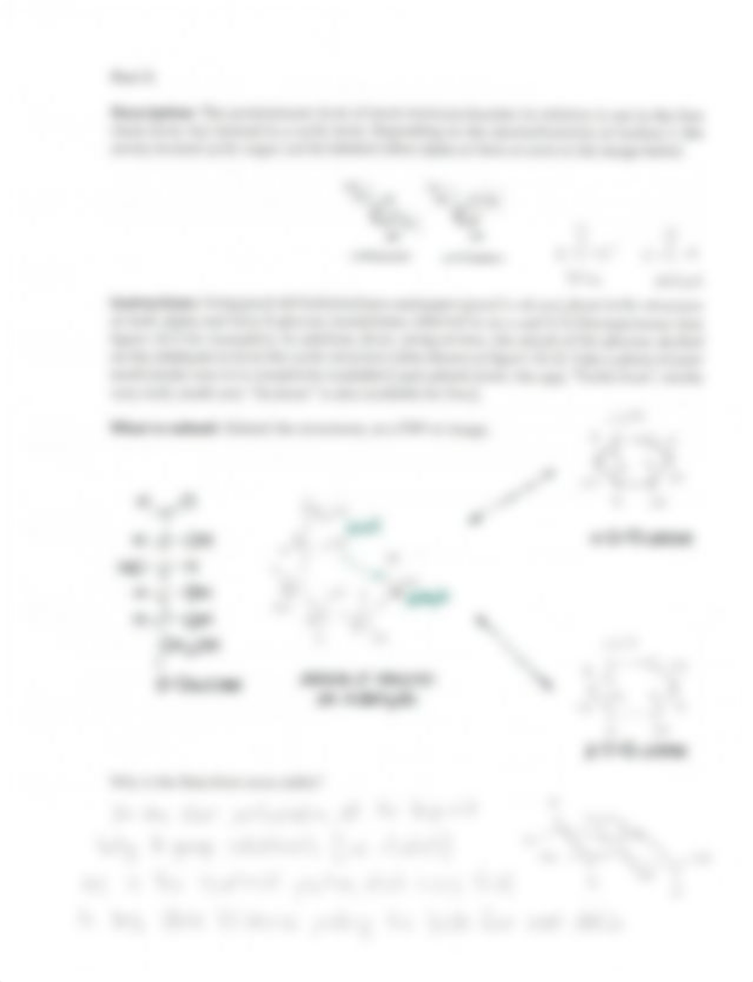 Basic Concepts Worksheet 3.1.pdf_dybu5wzup3v_page2