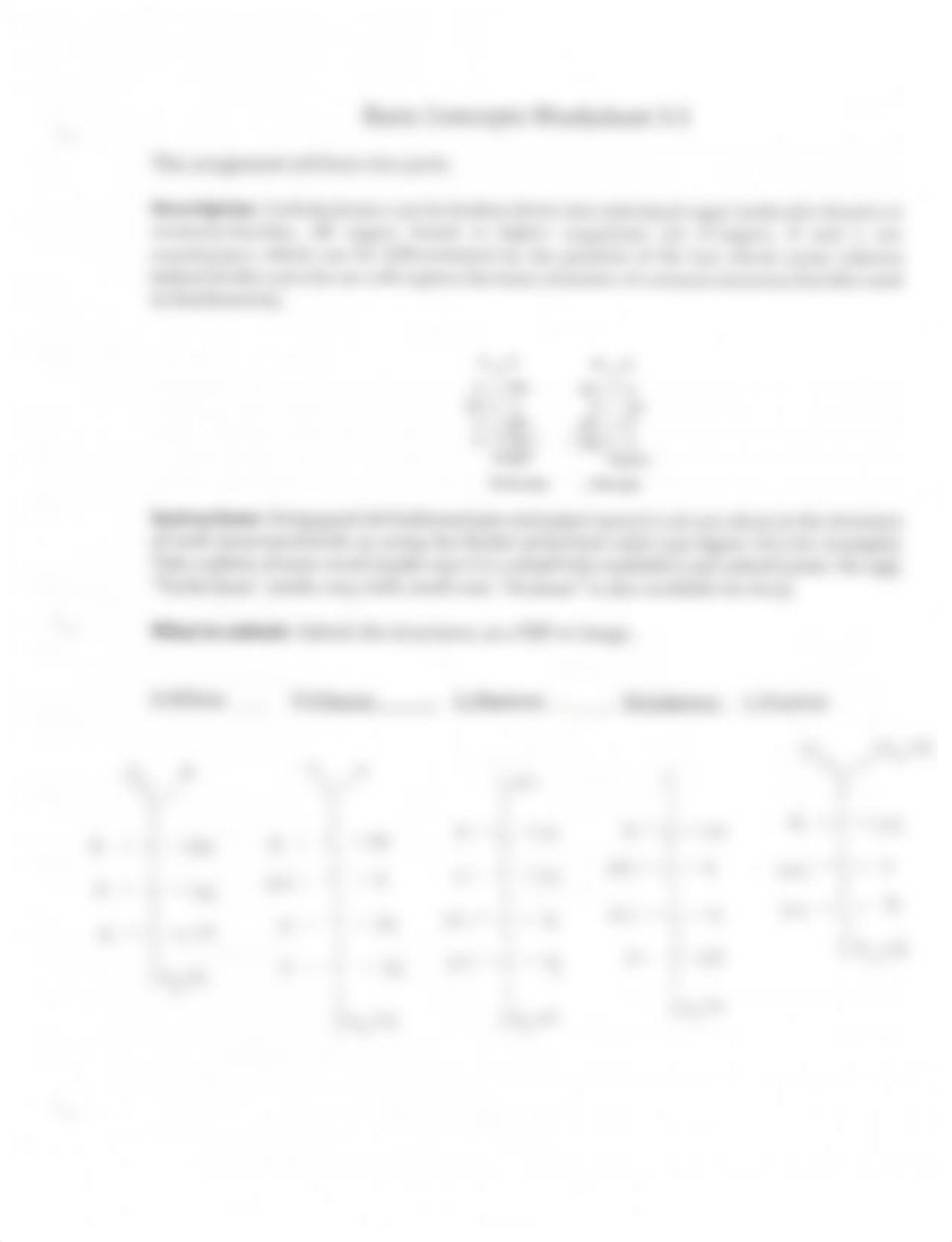 Basic Concepts Worksheet 3.1.pdf_dybu5wzup3v_page1