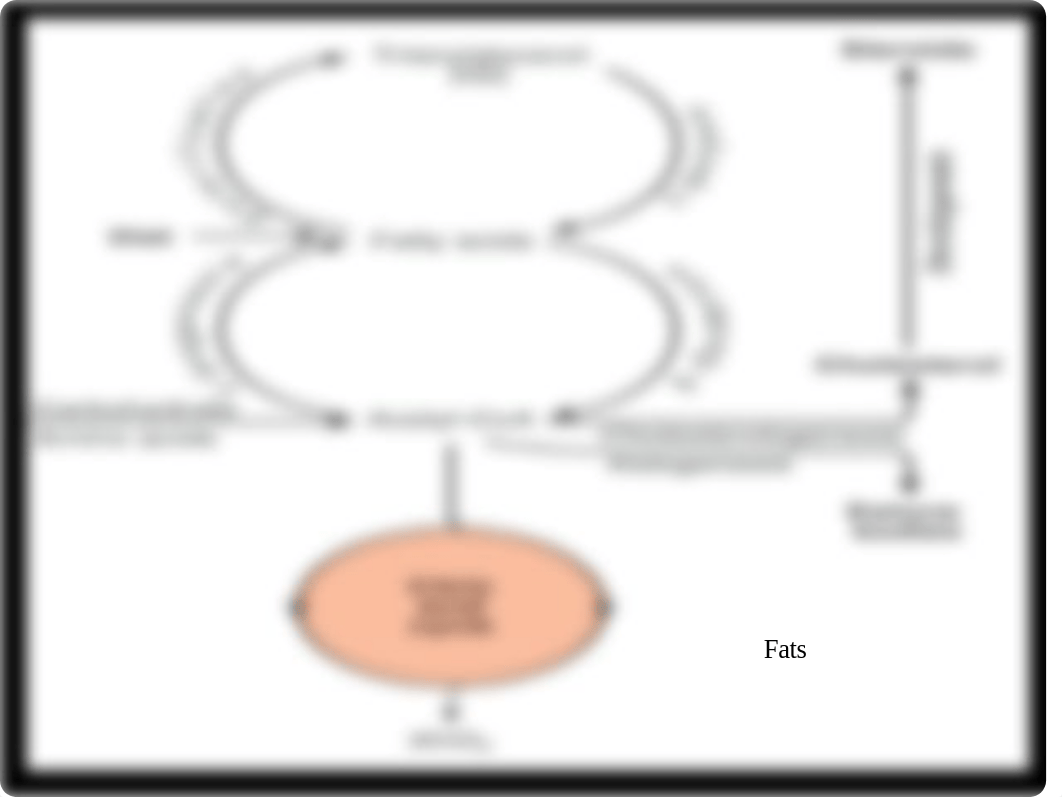 The Citric acid cycle-1_dybuw5inxxq_page4