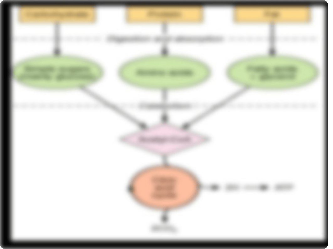 The Citric acid cycle-1_dybuw5inxxq_page2