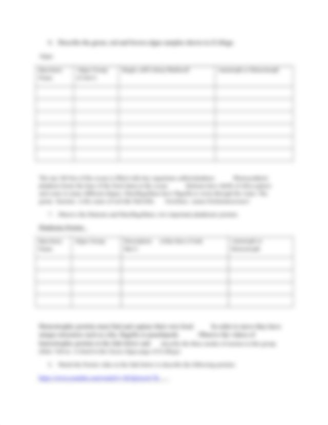 Bacteria and Protists Activity Worksheetv2 (2).doc_dyc2zref2m9_page2