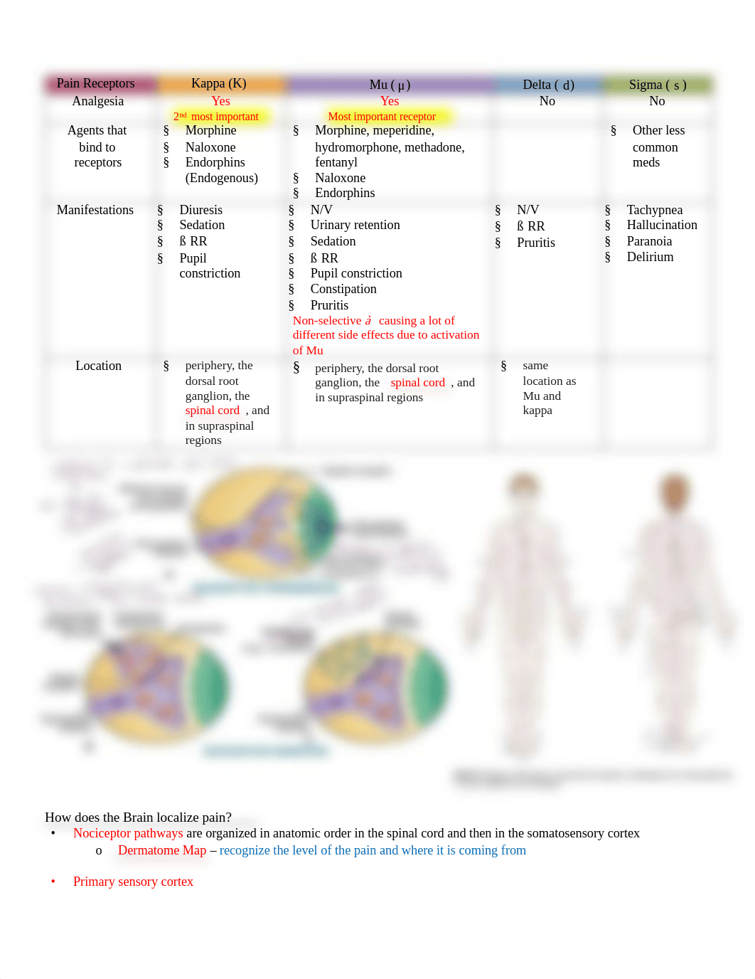 Week 5 - Pain pdf.pdf_dyc5ziye0k3_page2