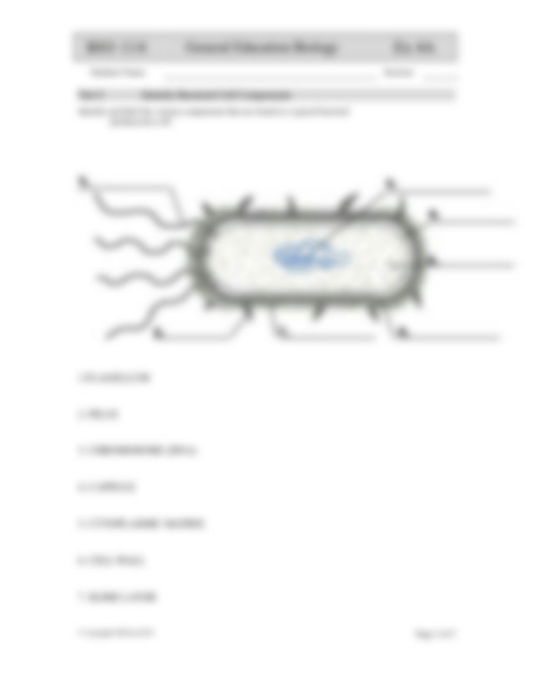 BIOLOGY Exercise 04A 2020 The Cell  Eukarytic Bacterial.doc_dyc6r5l8qn9_page5