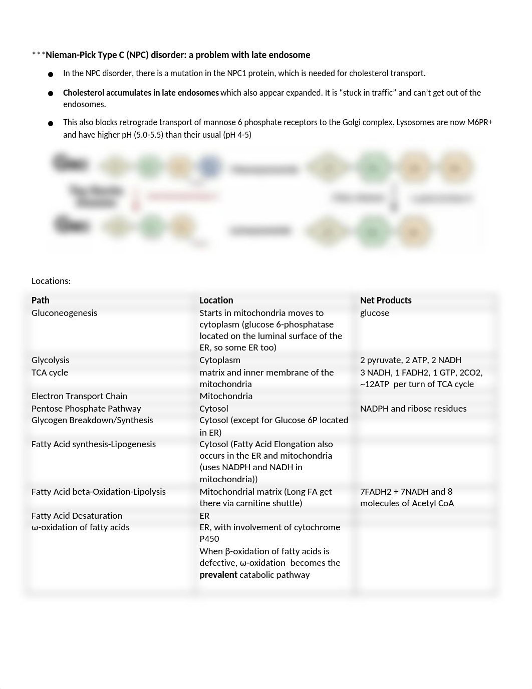 Metabolic Storage Disorders.docx_dycbq00mgge_page2