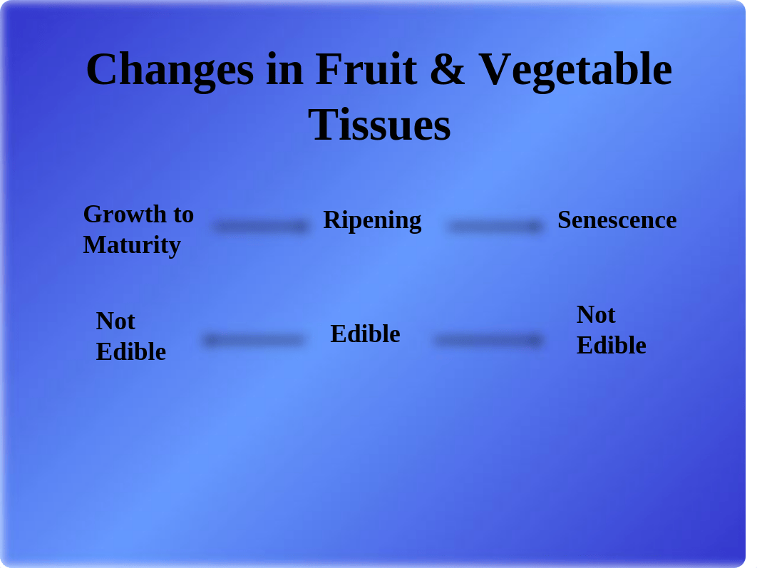 Poat Harvest Processing of Fruit and Vegetables 2018.ppt_dycgvu0ua5j_page3