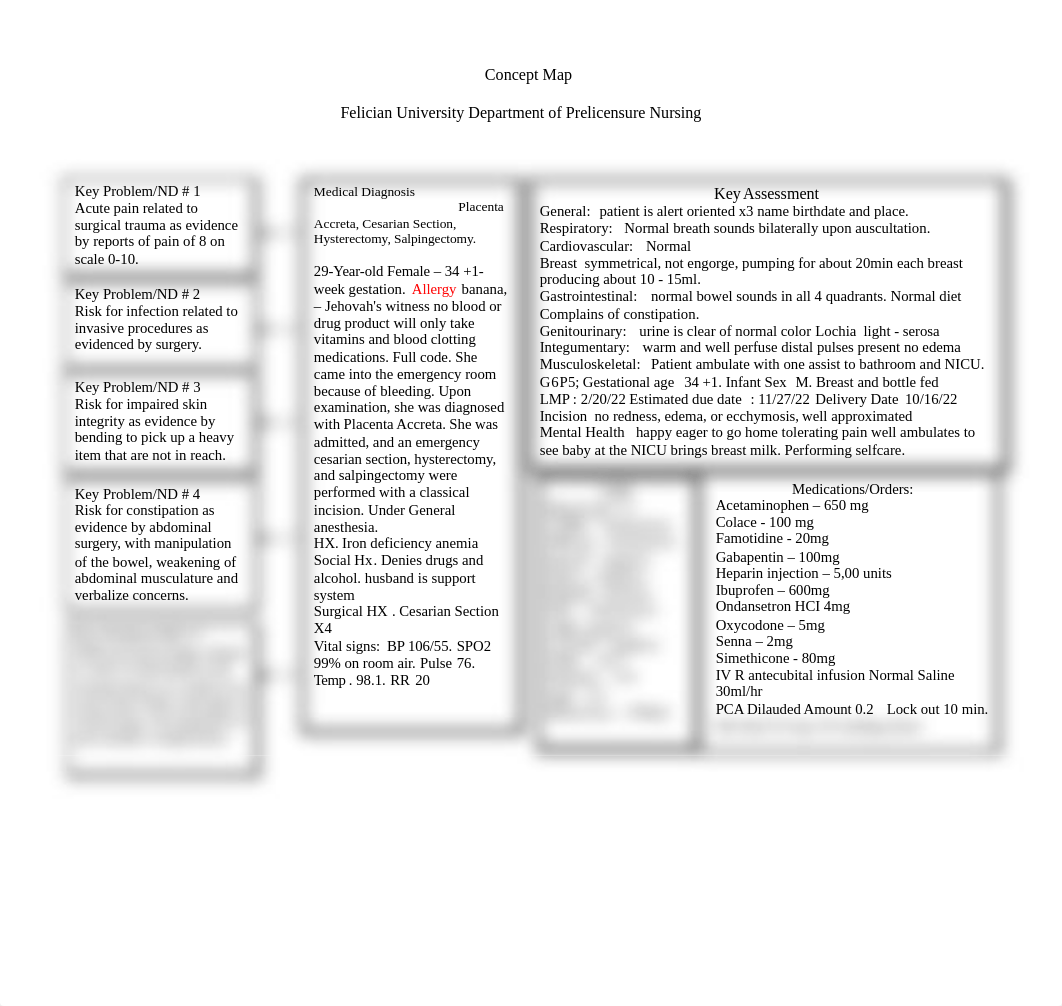 concept map maternity.docx_dyci8dsnfj2_page2