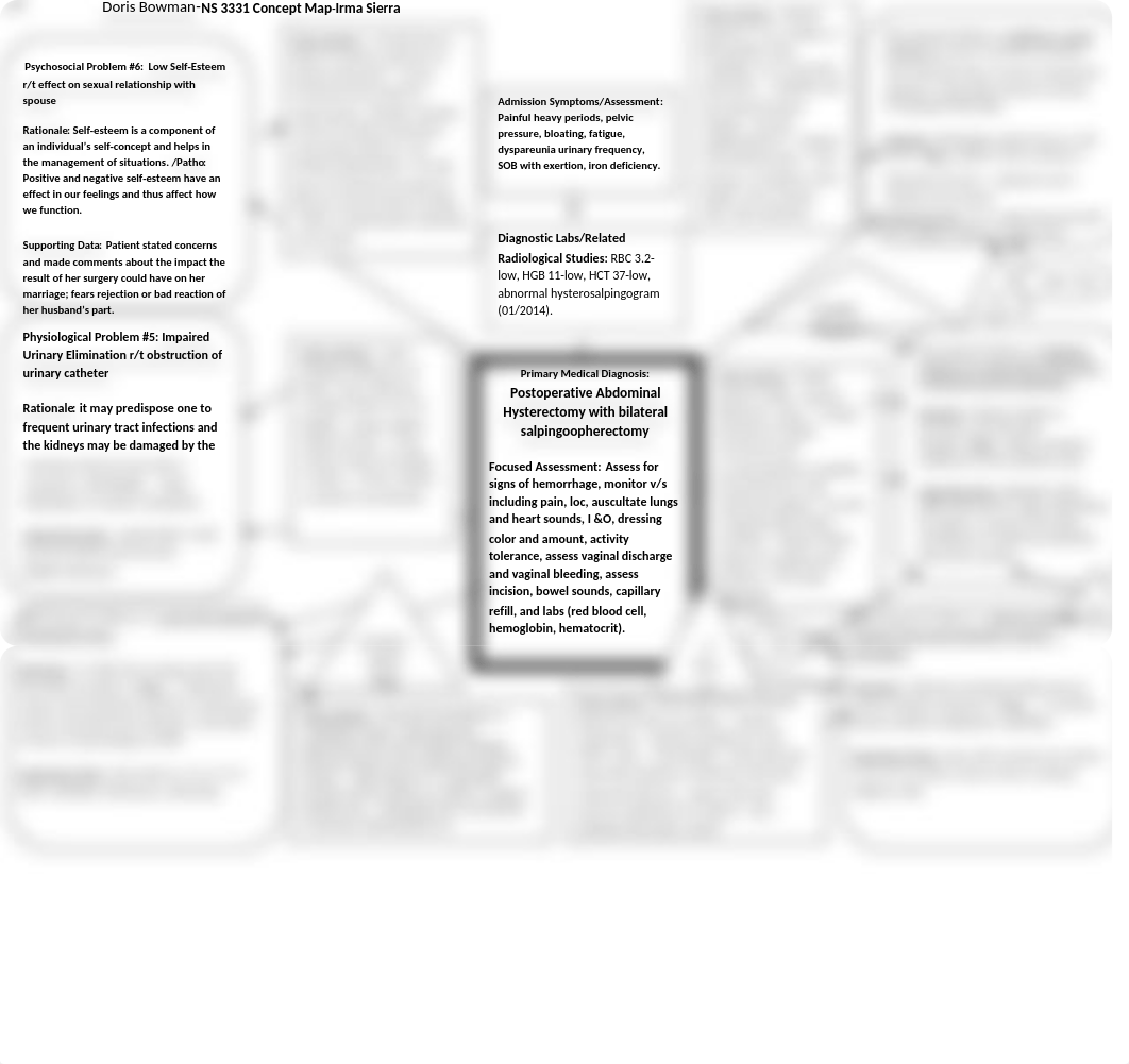 3331 Concept Map-Doris Bowman(1).doc_dyd0jq3rteg_page1