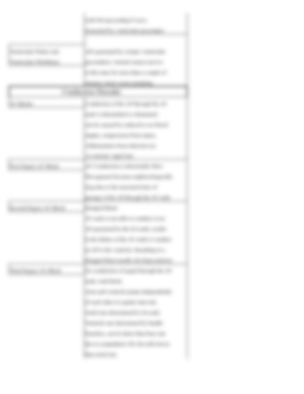 Heart Murmur Chart.xlsx_dyd55t0pw66_page3