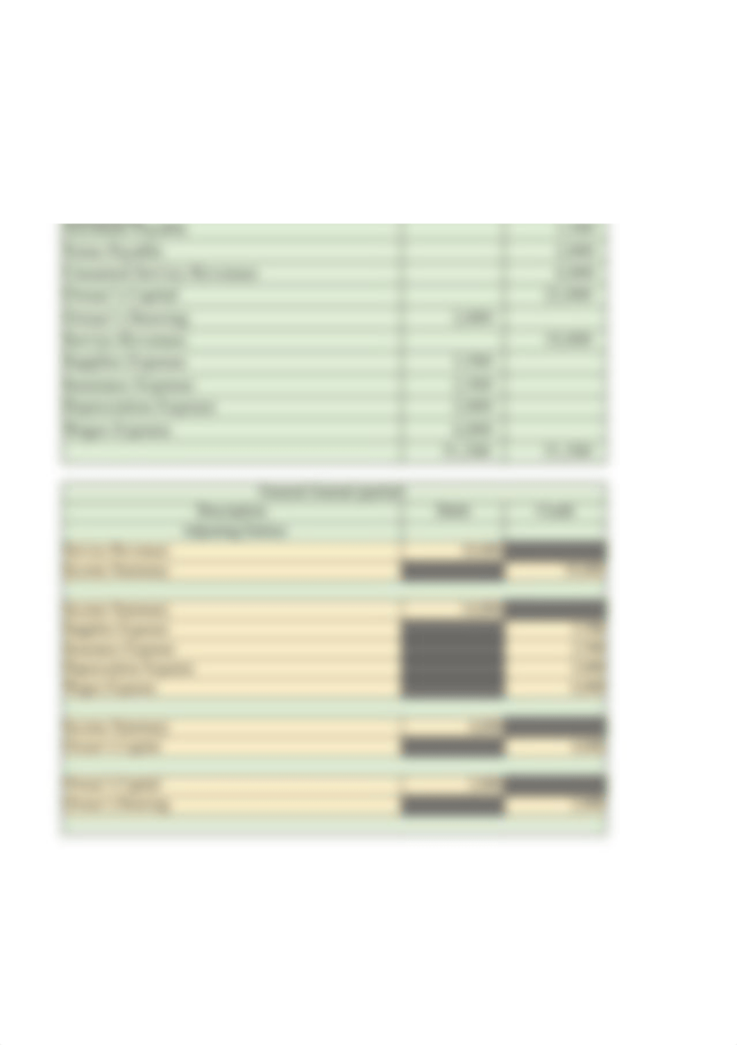 ACC213_Tabish_Week2_Assignment.xlsx_dydbxu7pbn9_page1