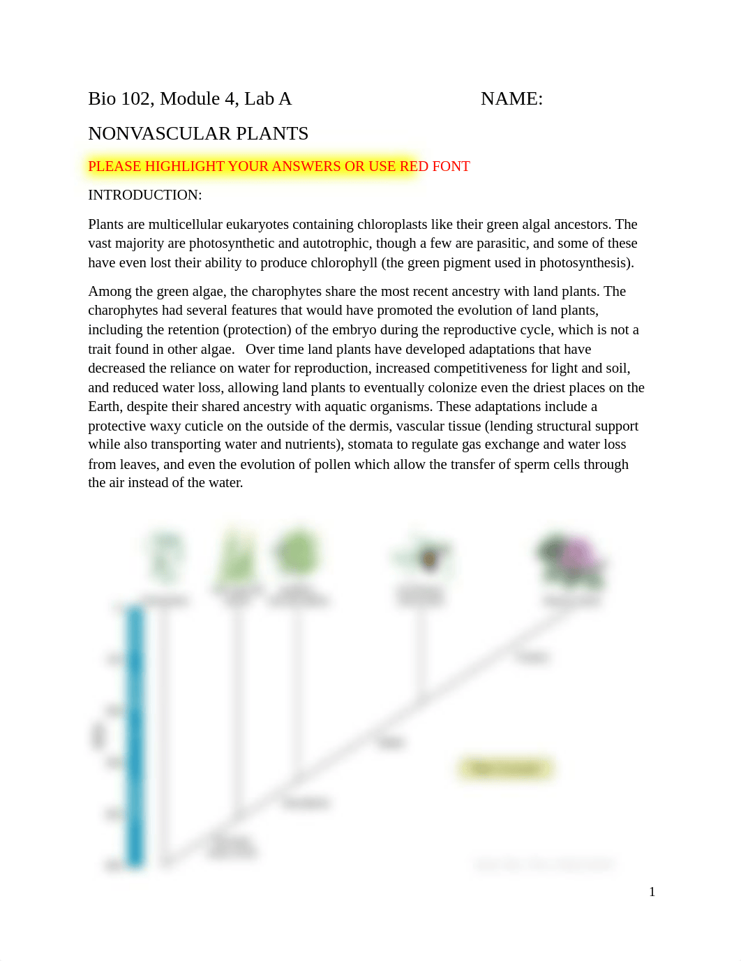 Observing Nonvascular Plants.docx_dydcd6ryvo8_page1