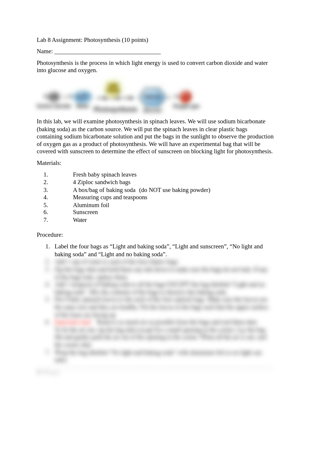 Photosynthesis_lab - online - updated.docx_dydg7y0kw20_page1