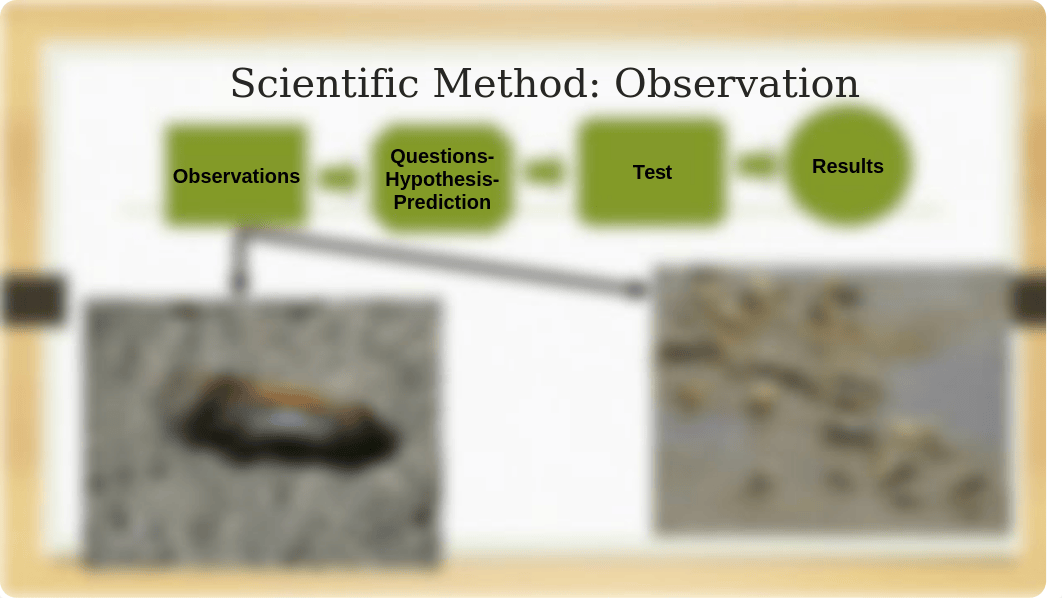 Exercise 1 The Scientific Method (3)_dydhfjrr0ws_page5