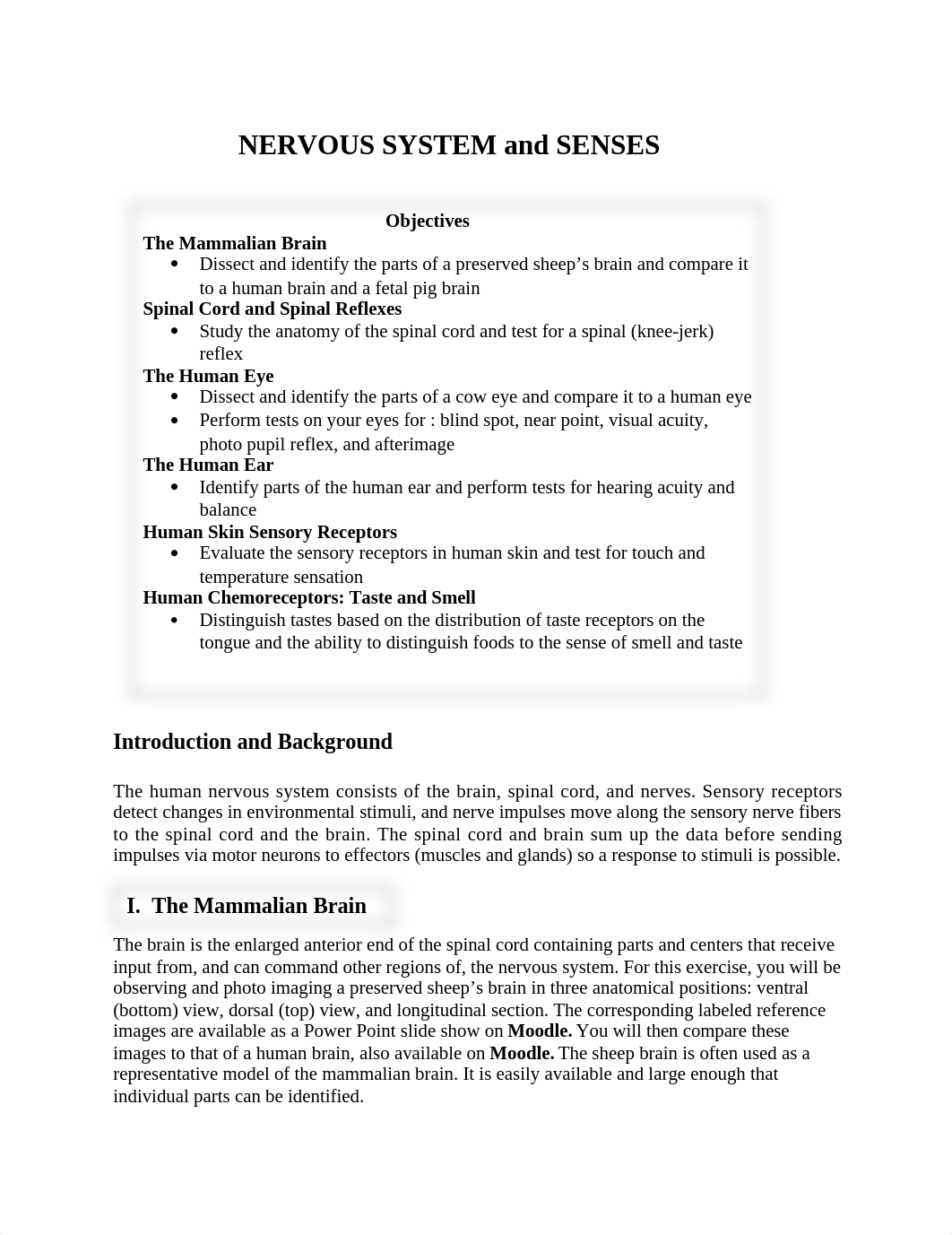 Nervous System and Senses Writeup.docx_dydhxixjvxk_page1