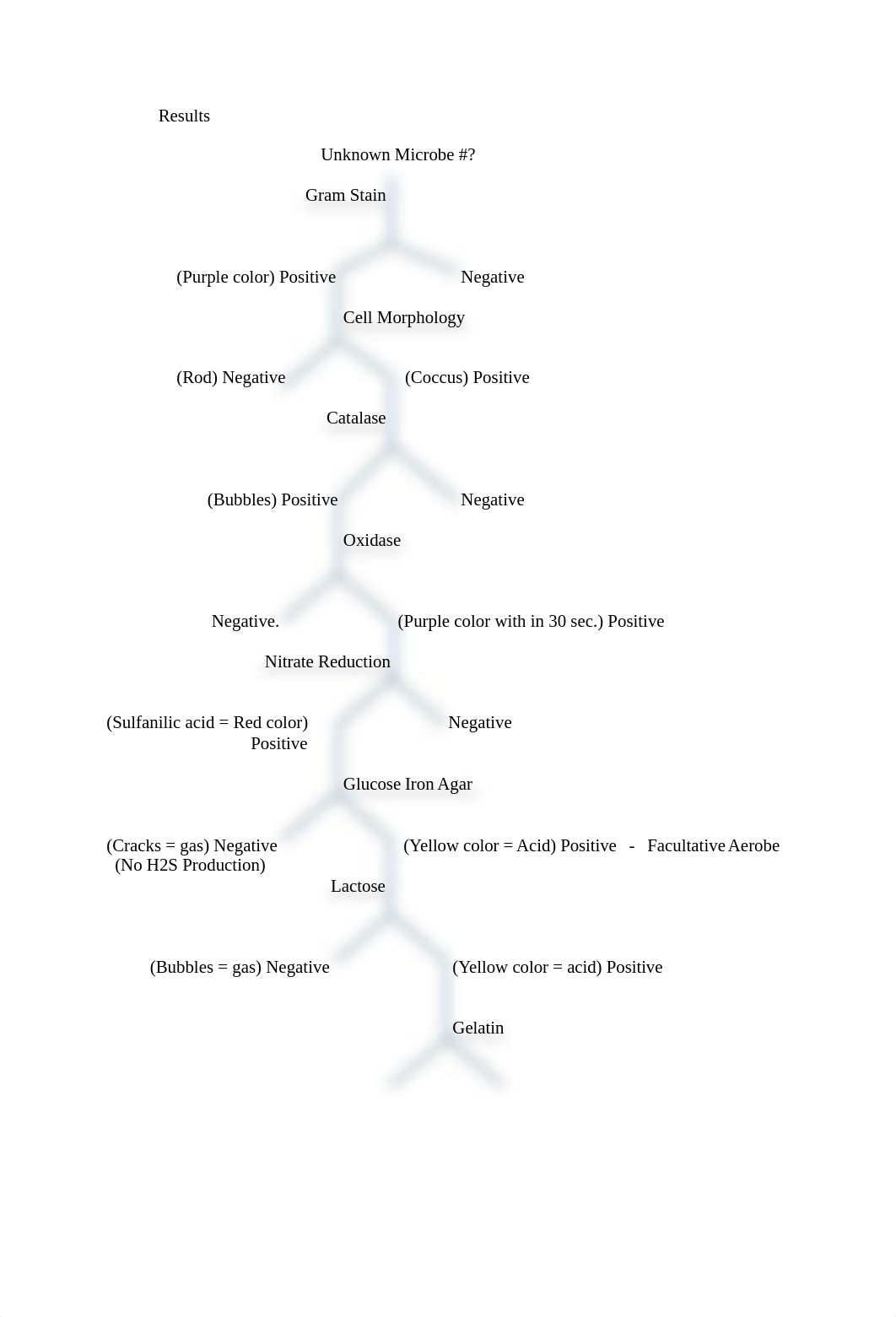 Unknown Bacterial Identification Lab Report.docx_dydj0hechef_page2