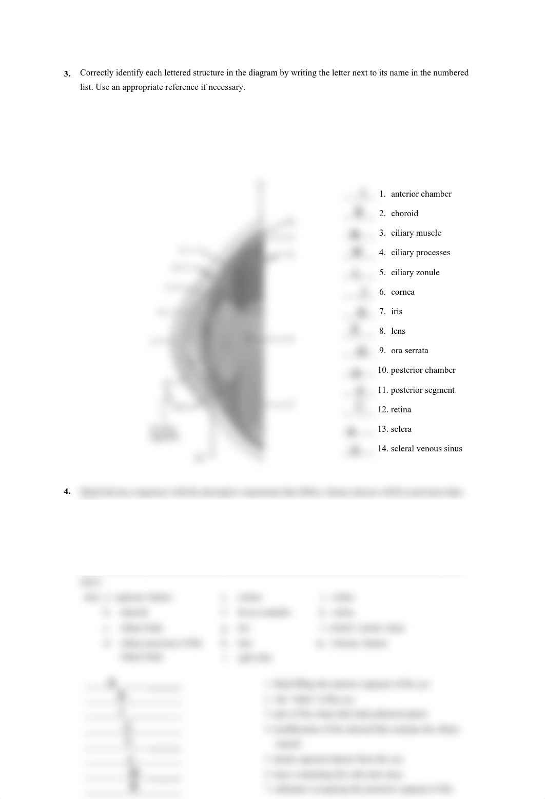 Worksheet Ch23 Eye (1).pdf_dydm6vw1j4j_page2