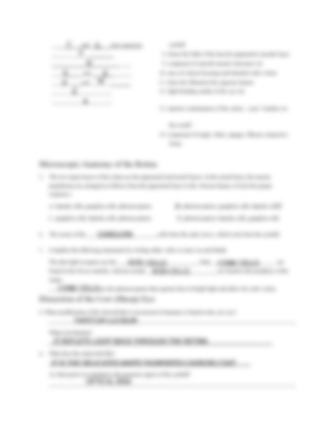 Worksheet Ch23 Eye (1).pdf_dydm6vw1j4j_page3