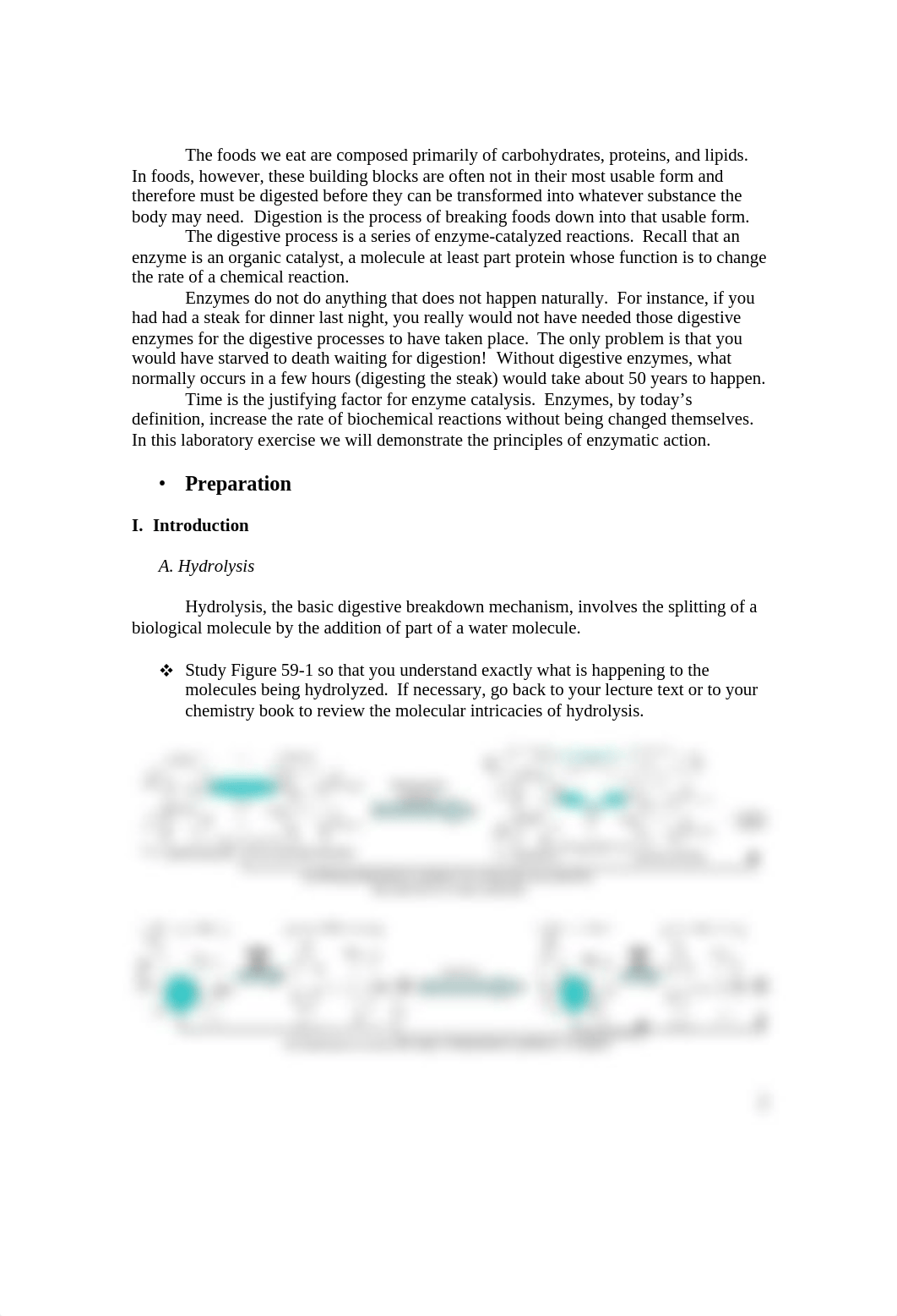 Enzymatic Action in Digestion_dydocu106qo_page2