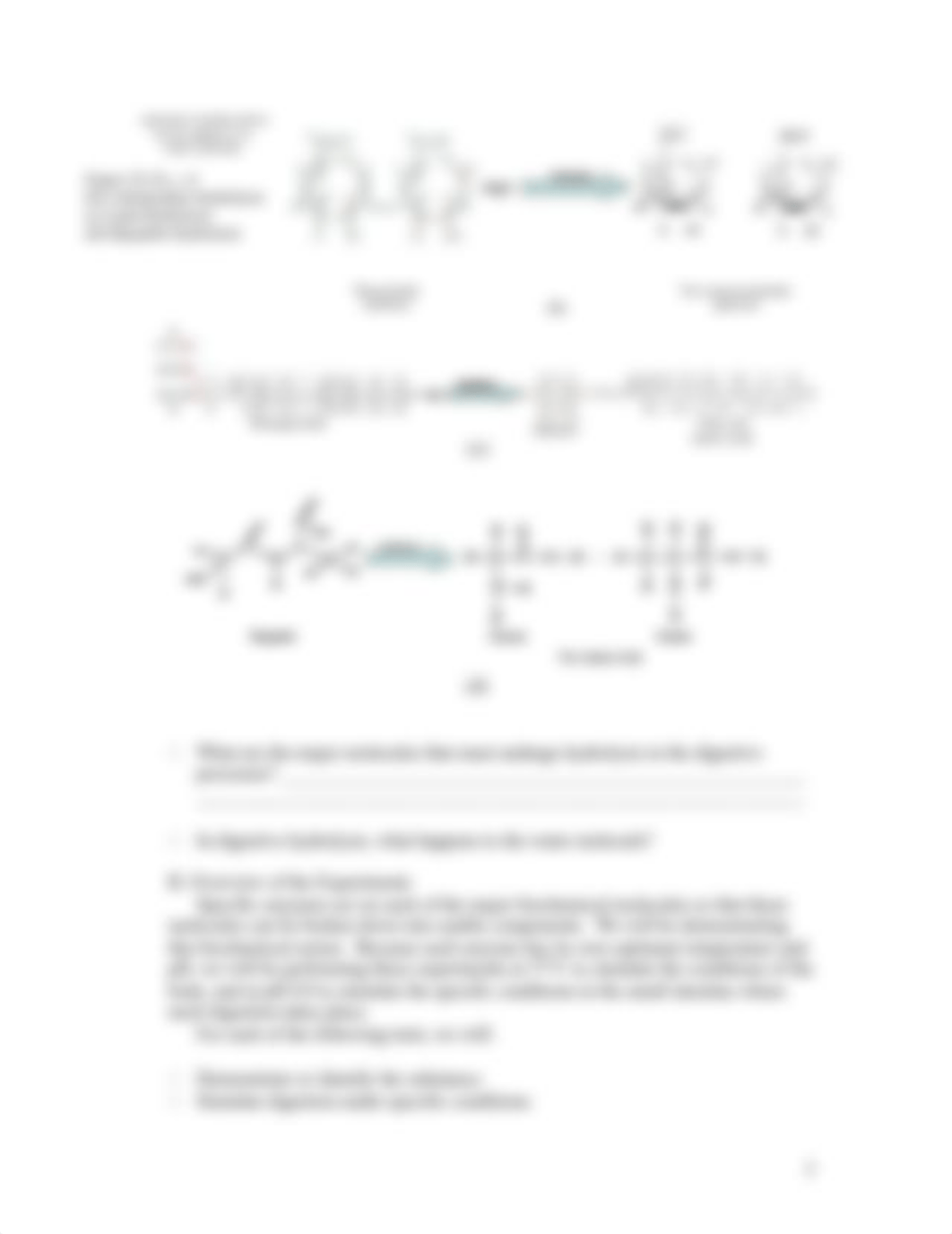 Enzymatic Action in Digestion_dydocu106qo_page3