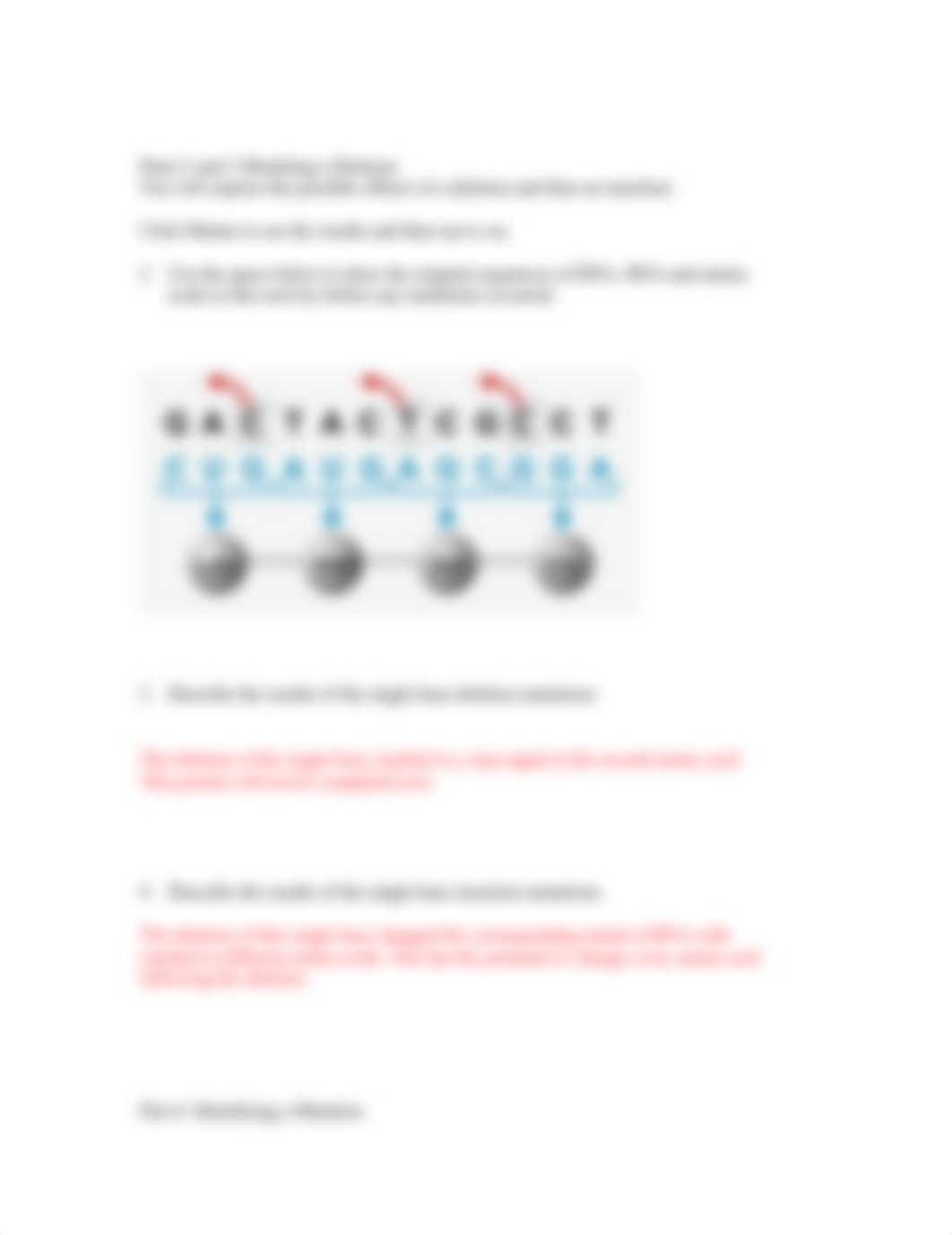 14-4_Science_Skills_Investigating_Point_Mutations.docx_dydql0q6y1l_page2