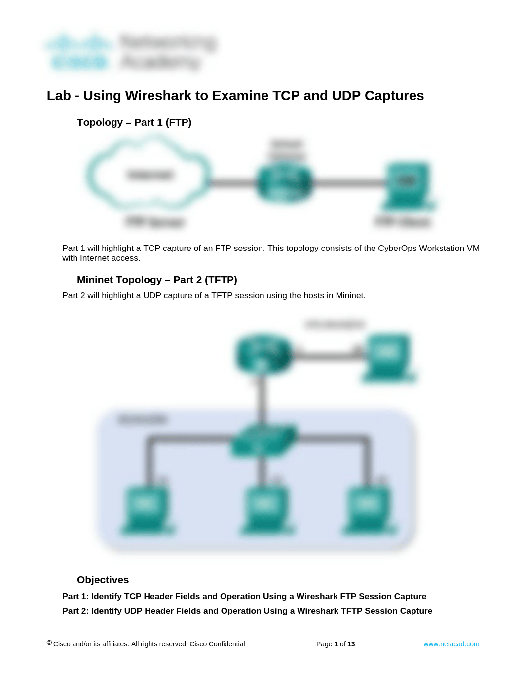 4.6.4.3 Lab - Using Wireshark to Examine TCP and UDP Captures.docx_dydt6hpv6dy_page1