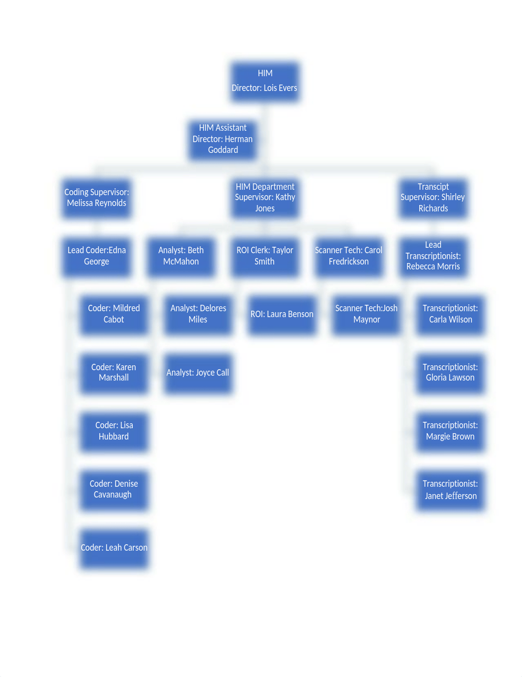 HIM Leadership Roles (1).docx_dydu3lb1k5k_page1