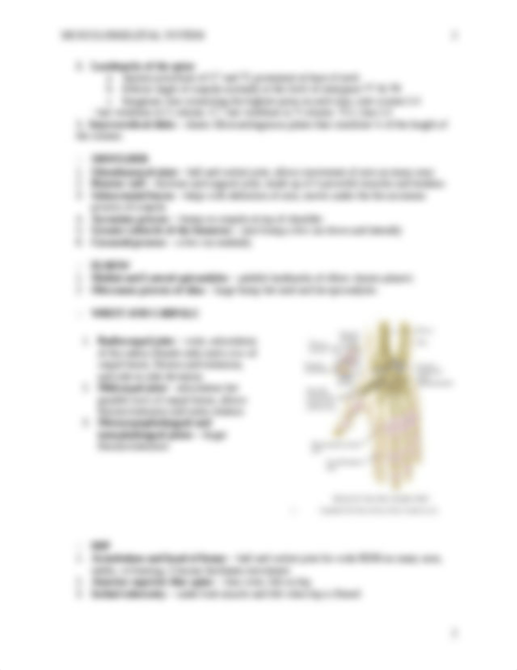 MUSCULOSKELETAL SYSTEM review_dydwuzf2iyi_page2