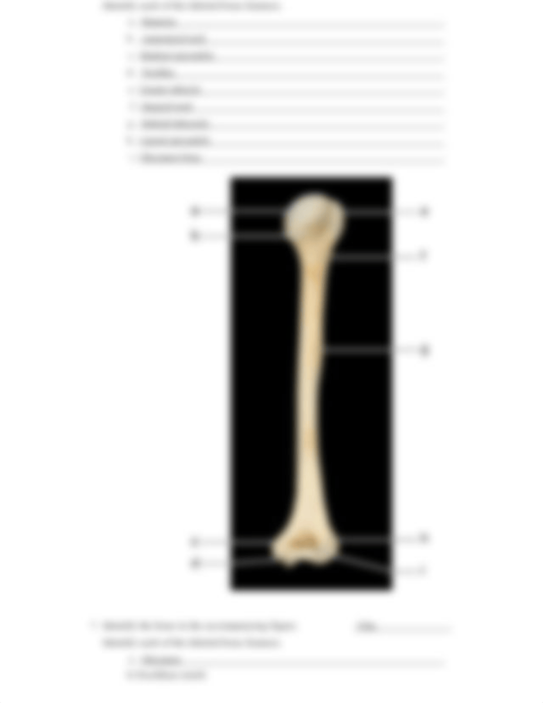 Appendicular Skeleton Lab Simulation Worksheet Doc X (1).docx_dydx00d9nxj_page3