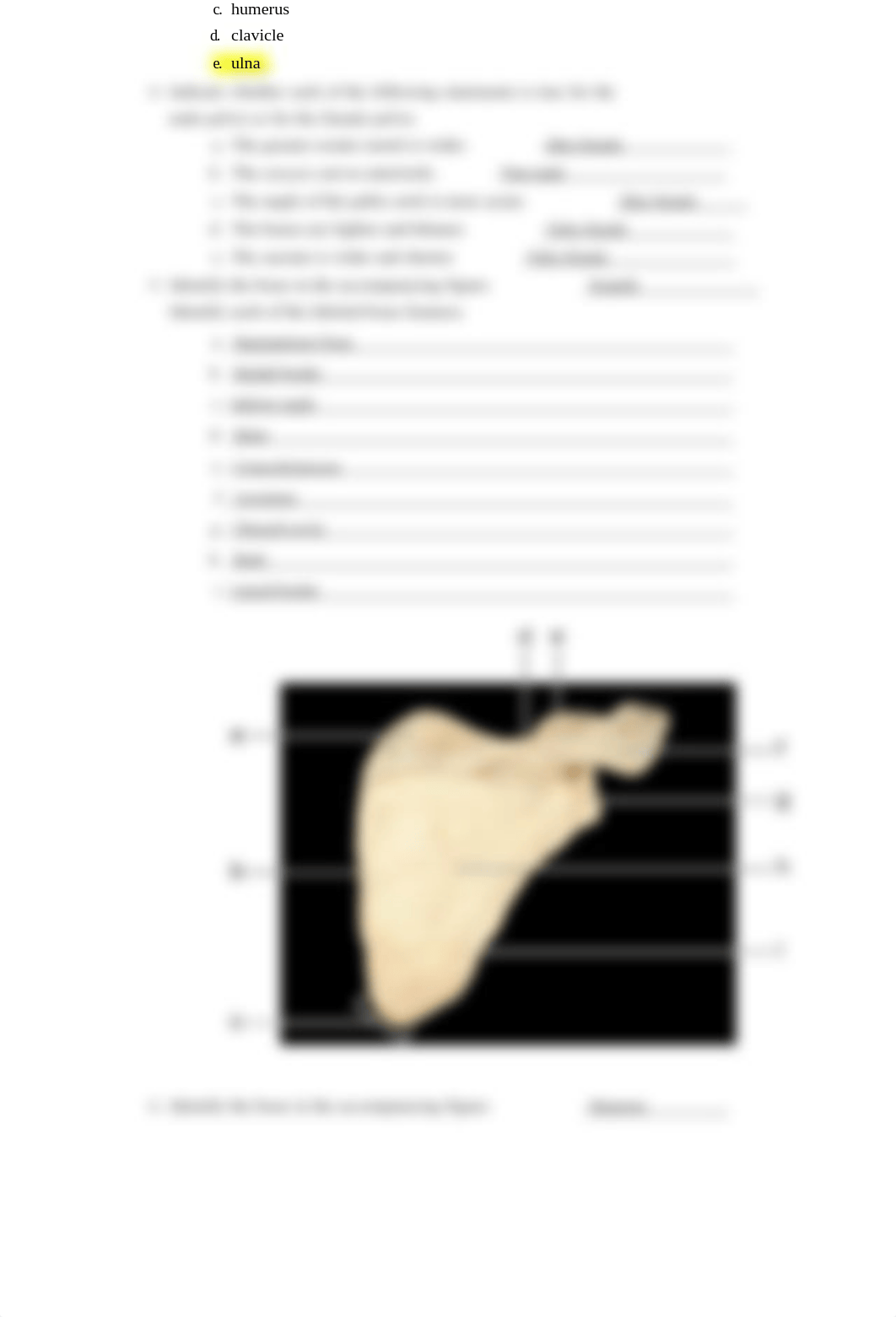 Appendicular Skeleton Lab Simulation Worksheet Doc X (1).docx_dydx00d9nxj_page2