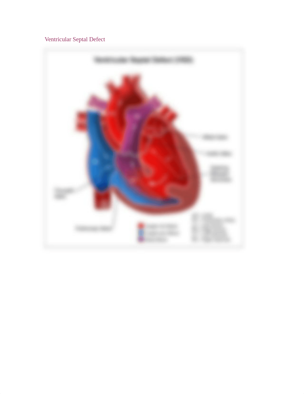 Pediatric_CardiacImages_dydx5j073jv_page4