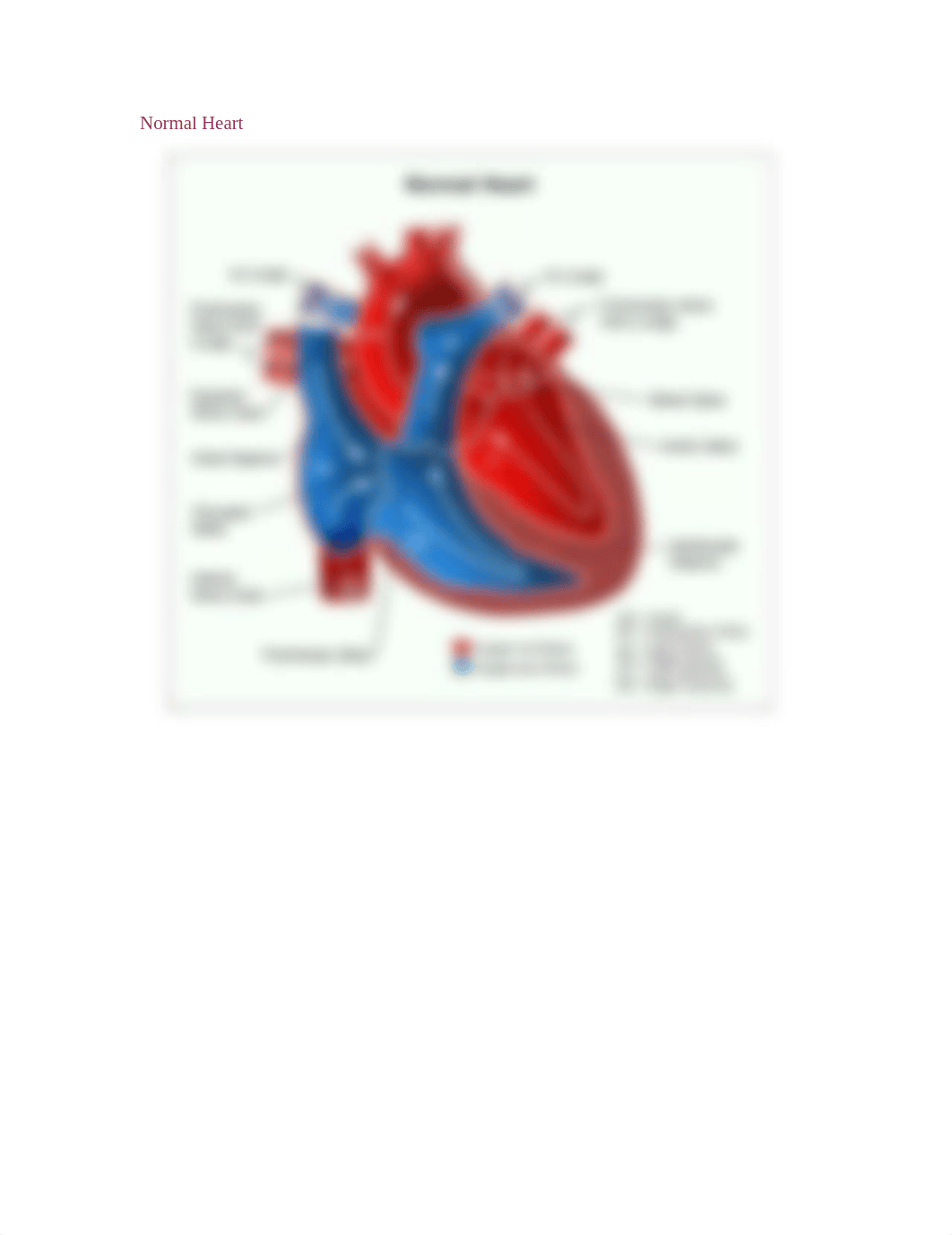 Pediatric_CardiacImages_dydx5j073jv_page1