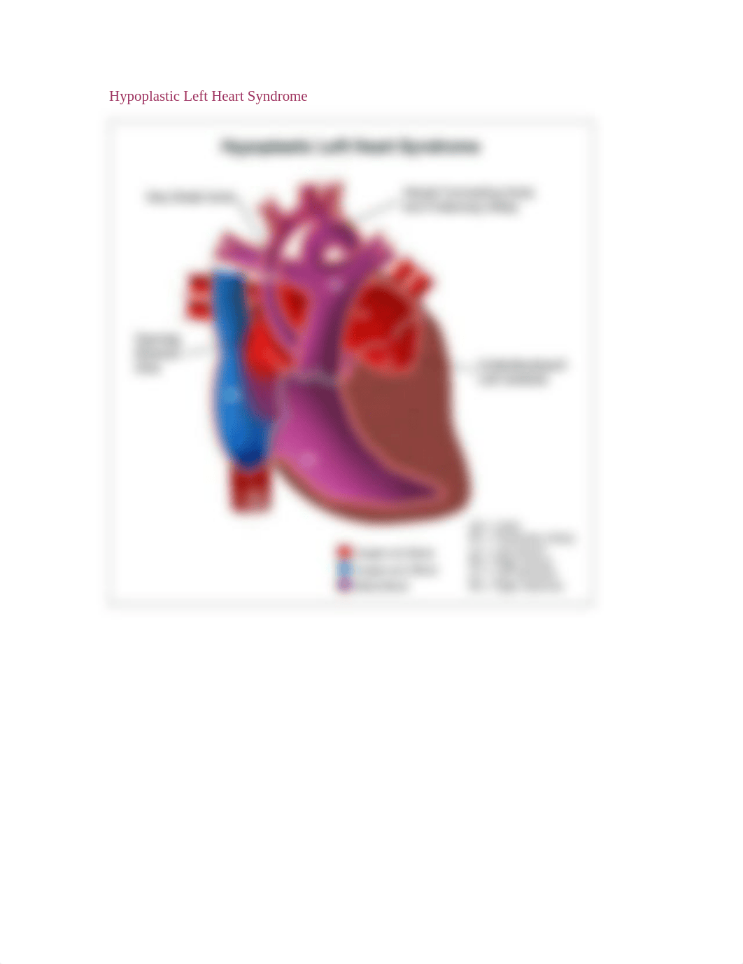 Pediatric_CardiacImages_dydx5j073jv_page5