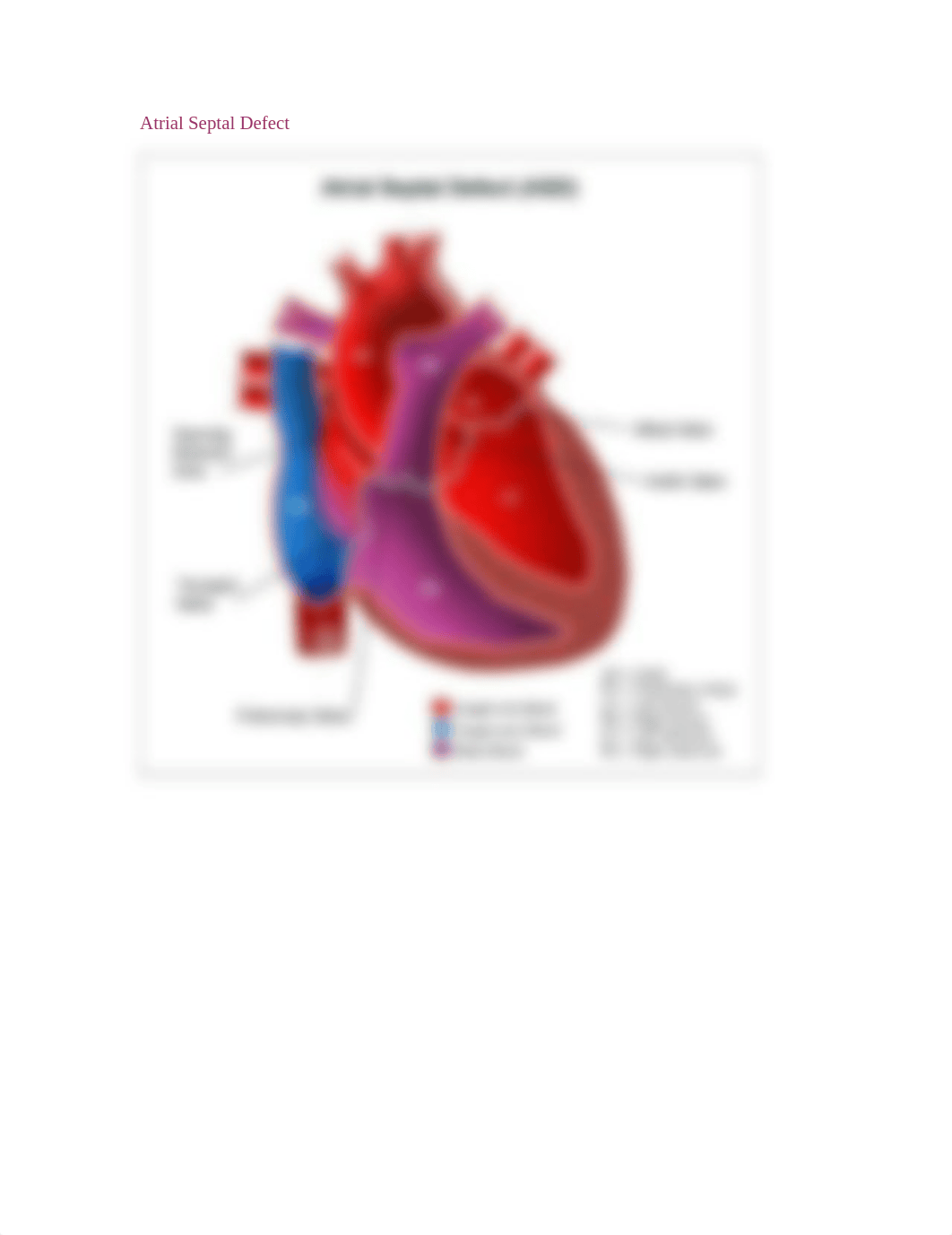 Pediatric_CardiacImages_dydx5j073jv_page3