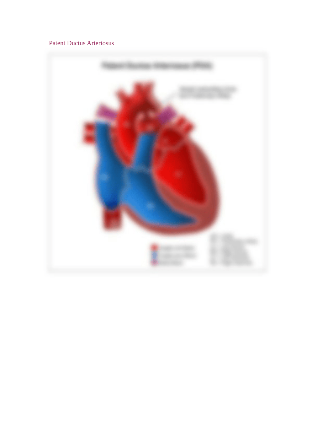 Pediatric_CardiacImages_dydx5j073jv_page2