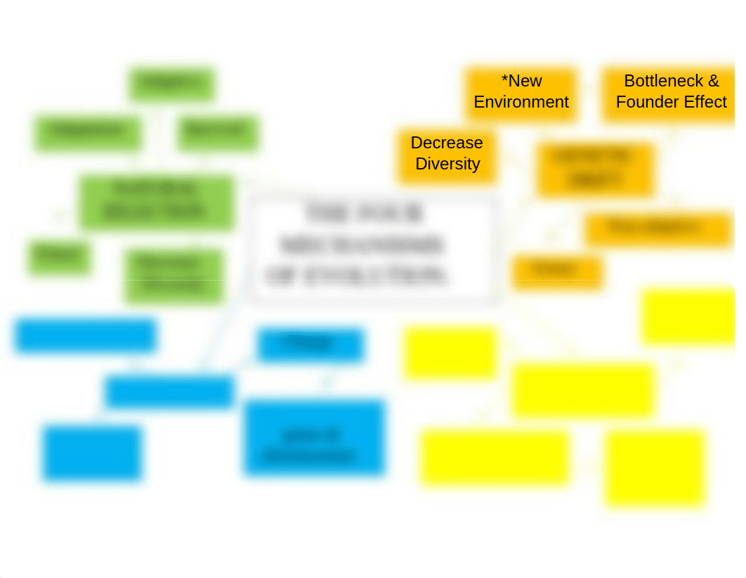 The 4 mechanisms of evolution. Concept Map.docx_dye495zdz3d_page1