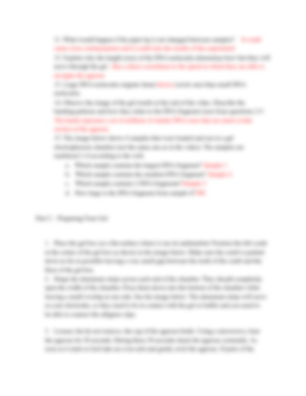 Gel Electrophoresis Lab.pdf_dye6sic2noy_page3