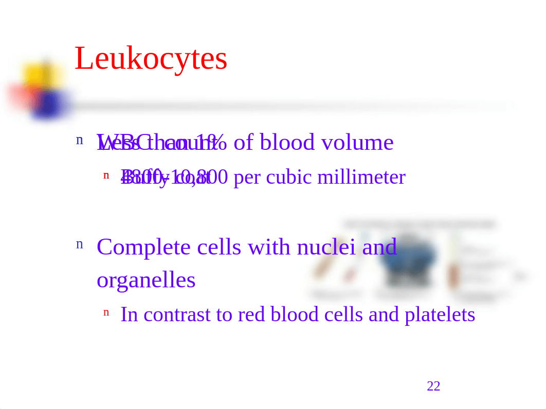 Normal Hematology Part II_dye9tktfaux_page2