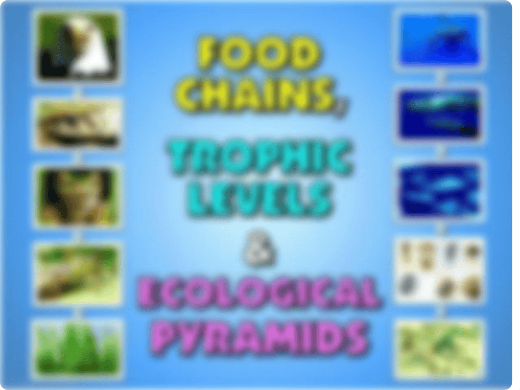 Copy of Food Chains, Trophic Levels and Ecological Pyramids - PowerPoint.pptx_dyeethev7tq_page1