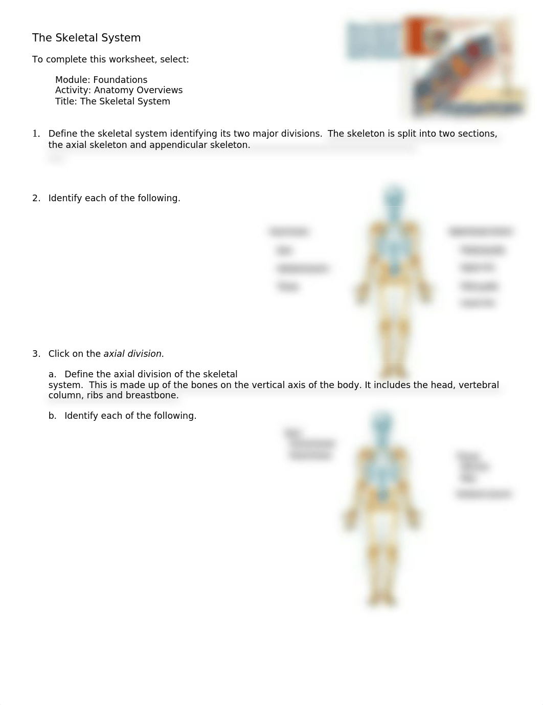 AP1 Ch1 Skeleton .doc_dyegrpqeyp3_page1