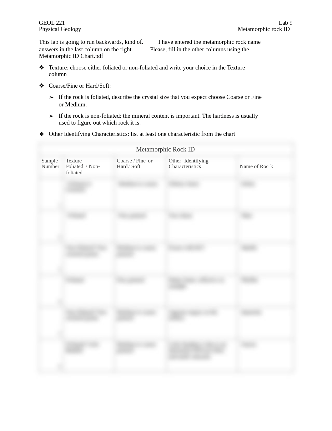 Metamorphic Rock ID worksheet.pdf_dyemg2vzsiz_page1