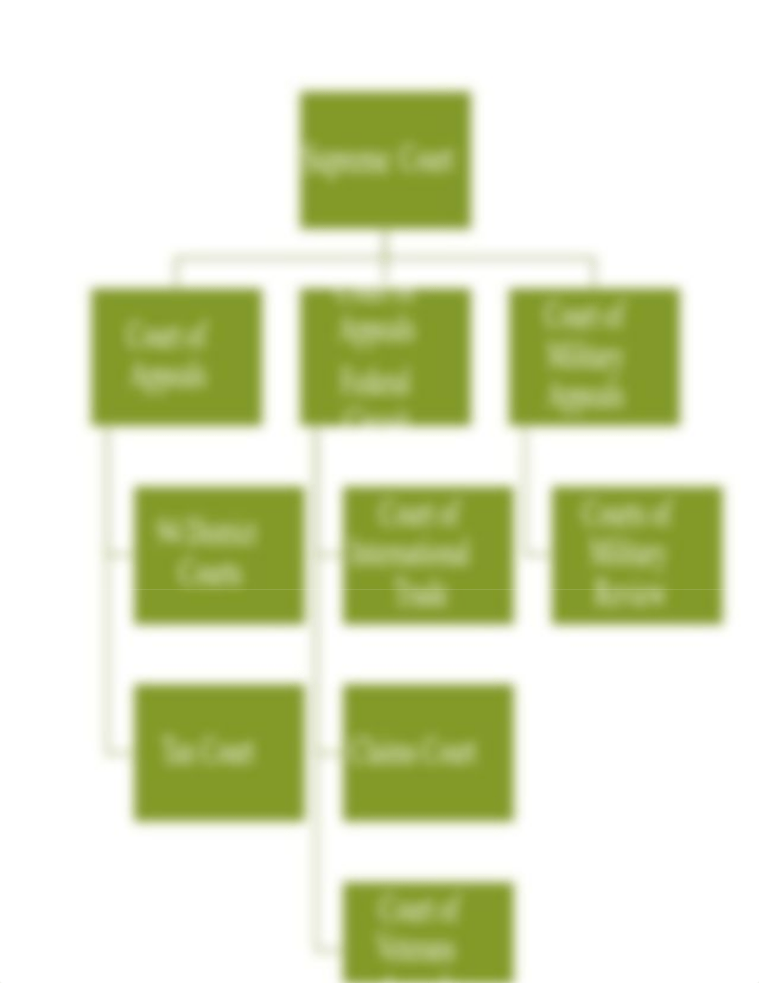 Judicial Structure of US Court System.docx_dyep4vv20wy_page2