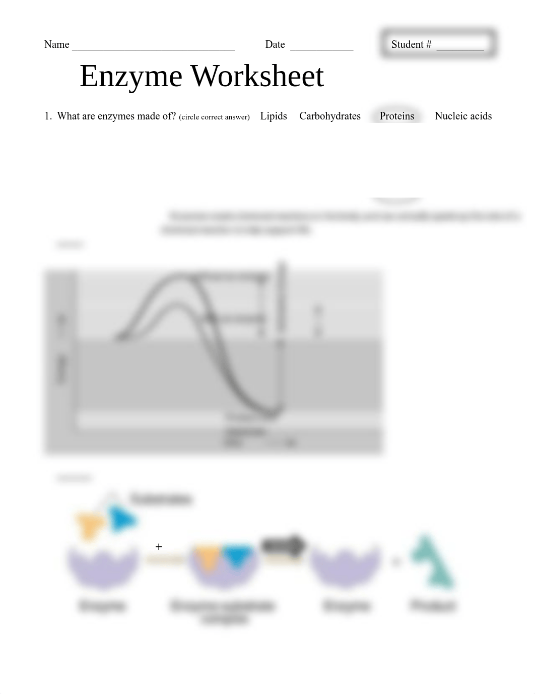 ENZYME WORKSHEET.pdf_dyepawx8e4e_page1